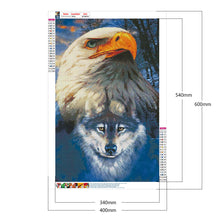 Load image into Gallery viewer, Eagle 40*60CM £¨canvans) Full Round Drill Diamond Painting
