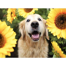 Load image into Gallery viewer, Sunflower Dog 40*30CM £¨canvans) Full Round Drill Diamond Painting
