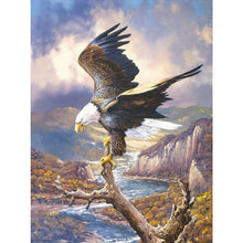 Load image into Gallery viewer, Eagle 30*40CM £¨canvans) Full Round Drill Diamond Painting
