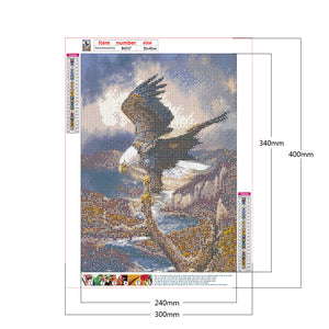 Eagle 30*40CM £¨canvans) Full Round Drill Diamond Painting