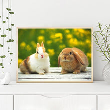 Load image into Gallery viewer, Rabbit 40*30CM (canvans) Full Round Drill Diamond Painting
