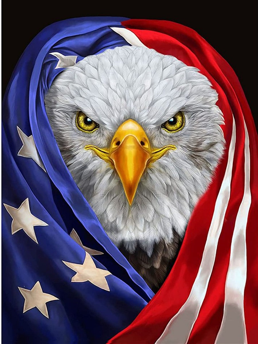 Flag Eagle 40x50CM(canvas) Full Square Drill Diamond Painting