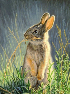 Rabbit 30x40cm(canvas) Full Round Drill Diamond Painting