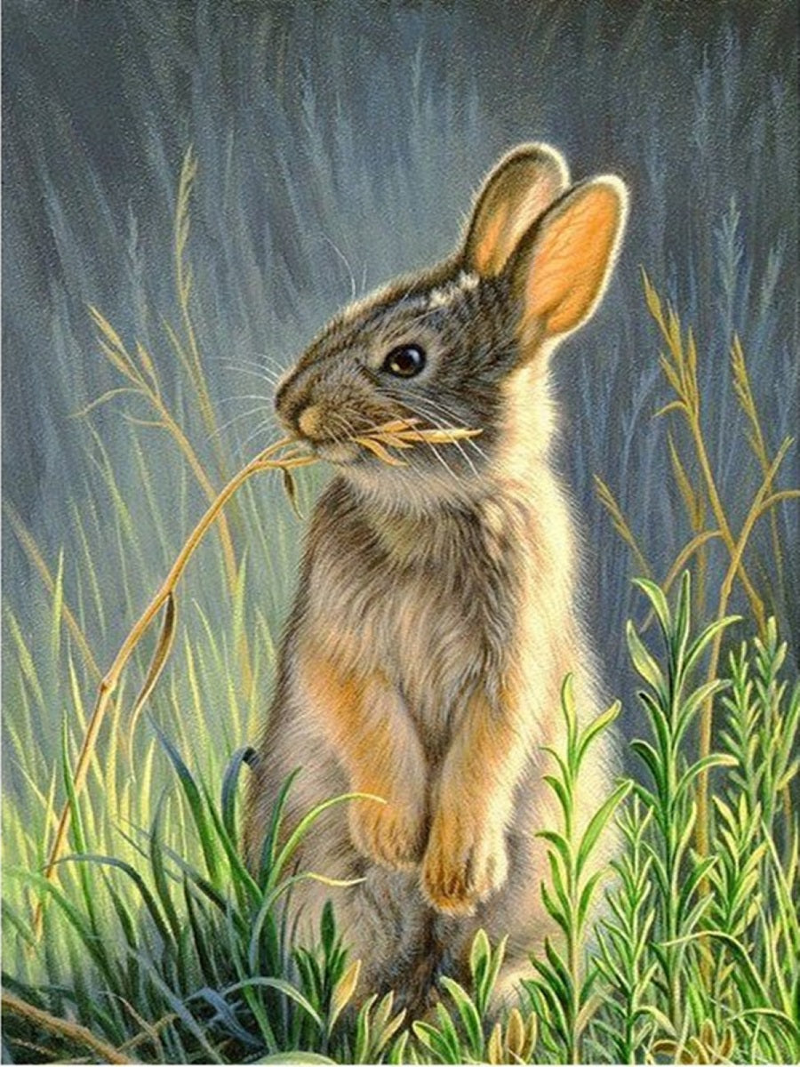 Rabbit 30x40cm(canvas) Full Round Drill Diamond Painting