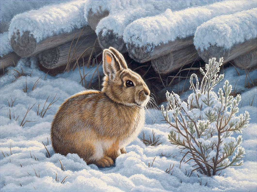 Snow Rabbit 40*30CM (canvas) Full Round Drill Diamond Painting