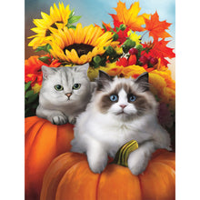 Load image into Gallery viewer, Autumn Sunflower Pumpkin Ragdoll 30*40CM(canvas) Full Round Drill Diamond Painting
