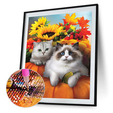 Load image into Gallery viewer, Autumn Sunflower Pumpkin Ragdoll 30*40CM(canvas) Full Round Drill Diamond Painting
