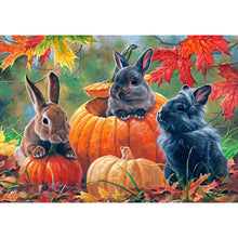 Load image into Gallery viewer, Pumpkin Black Rabbit 40*30CM (canvas) Full Round Drill Diamond Painting
