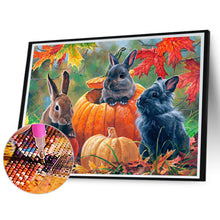 Load image into Gallery viewer, Pumpkin Black Rabbit 40*30CM (canvas) Full Round Drill Diamond Painting
