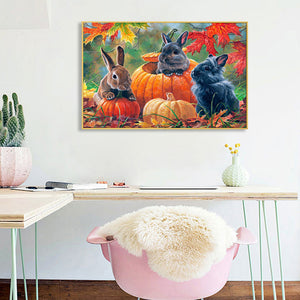 Pumpkin Black Rabbit 40*30CM (canvas) Full Round Drill Diamond Painting