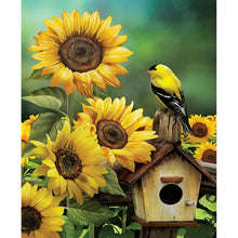 Load image into Gallery viewer, Sunflower Bird 40*50CM (canvas) Full Square Drill Diamond Painting
