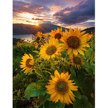 Load image into Gallery viewer, Sunflower 40*50CM (canvas) Full Round Drill Diamond Painting
