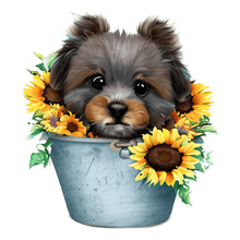 Load image into Gallery viewer, Sunflower Puppy In Iron Bucket 30*30CM (canvas) Full Round Drill Diamond Painting
