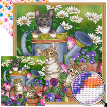 Load image into Gallery viewer, Cat Cat 45*50CM (canvas) Round AB Drill Diamond Painting
