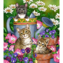 Load image into Gallery viewer, Cat Cat 45*50CM (canvas) Round AB Drill Diamond Painting
