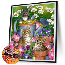 Load image into Gallery viewer, Cat Cat 45*50CM (canvas) Round AB Drill Diamond Painting
