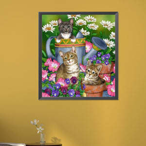 Cat Cat 45*50CM (canvas) Round AB Drill Diamond Painting